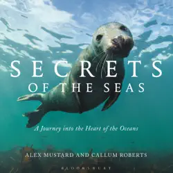 secrets of the seas book cover image