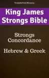 King James Strongs Bible synopsis, comments