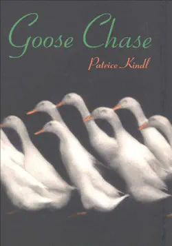 goose chase book cover image