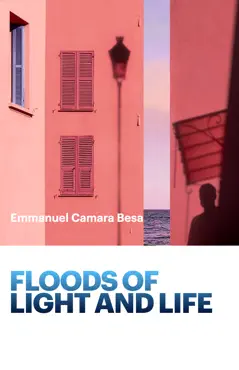 floods of light book cover image