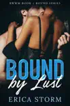 Bound by Lust synopsis, comments