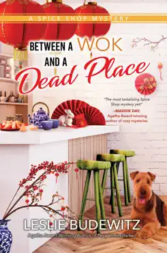 between a wok and a dead place book cover image