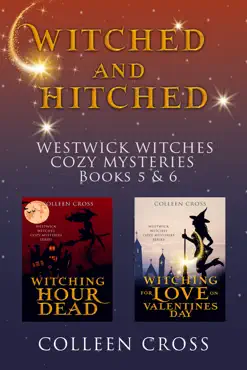 witched and hitched imagen de la portada del libro