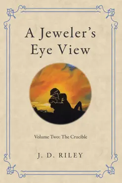 a jeweler’s eye view book cover image