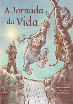 a jornada da vida book cover image