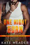 One Night Burn synopsis, comments