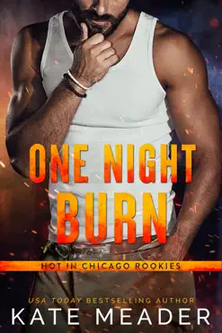 one night burn imagen de la portada del libro