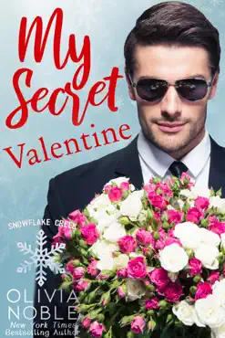 my secret valentine book cover image