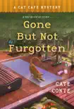 Gone but Not Furgotten synopsis, comments