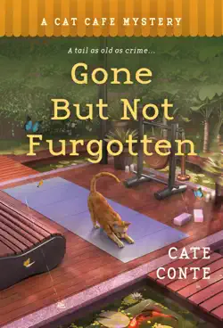 gone but not furgotten book cover image