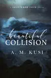 Beautiful Collision - A Single Mom Enemies to Lovers Romance synopsis, comments