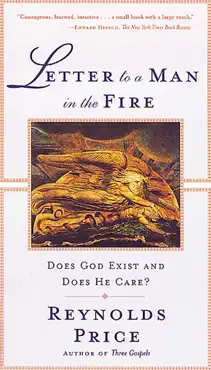 letter to a man in the fire book cover image