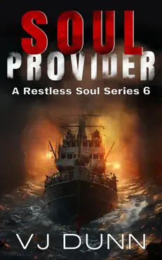 soul provider book cover image