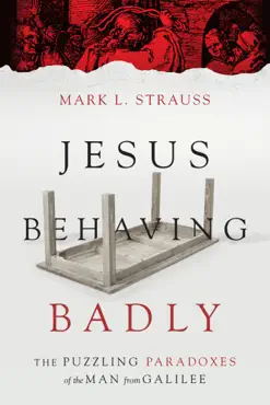 jesus behaving badly book cover image