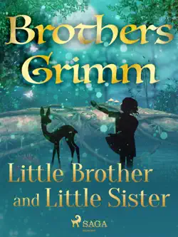 little brother and little sister book cover image