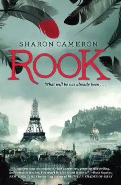 rook book cover image