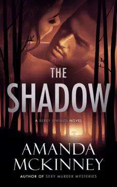 the shadow (a romantic suspense novel) book cover image