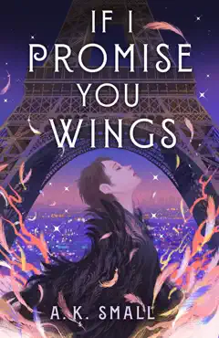 if i promise you wings book cover image