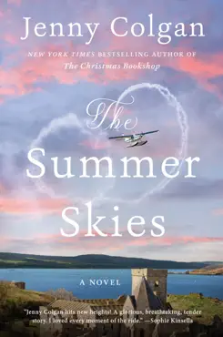 the summer skies book cover image