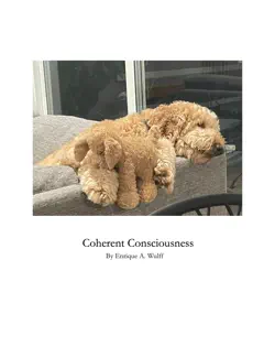 coherent consciousness book cover image