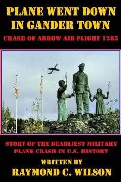 plane went down in gander town book cover image