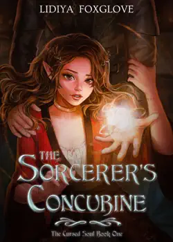 the sorcerer's concubine book cover image