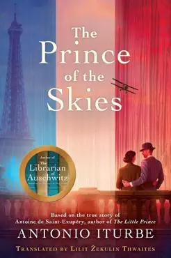 the prince of the skies book cover image