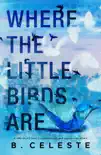 Where the Little Birds Are synopsis, comments