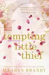 Tempting Little Thief sinopsis y comentarios