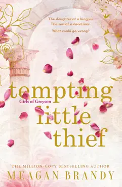 tempting little thief imagen de la portada del libro
