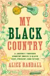 My Black Country sinopsis y comentarios