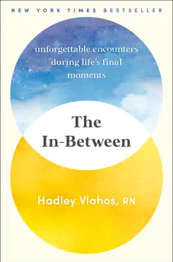 the in-between book cover image