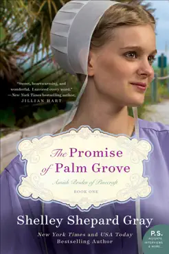 the promise of palm grove imagen de la portada del libro