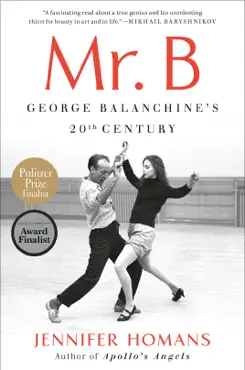 mr. b book cover image
