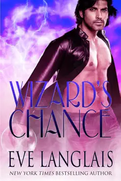 wizard's chance book cover image