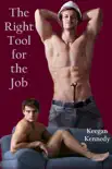 The Right Tool for the Job synopsis, comments