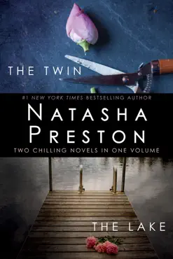the twin and the lake book cover image