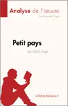 Petit pays de Gael Faye (Analyse de l'œuvre) sinopsis y comentarios