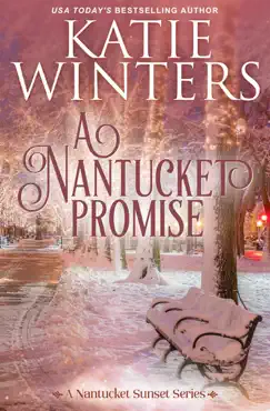 a nantucket promise book cover image