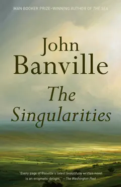 the singularities book cover image
