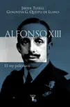 Alfonso XIII. El rey polémico sinopsis y comentarios