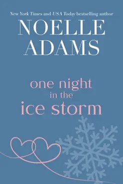 one night in the ice storm book cover image