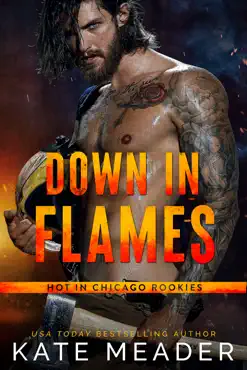 down in flames imagen de la portada del libro