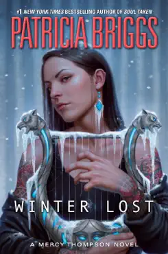 winter lost book cover image