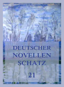 deutscher novellenschatz 21 book cover image