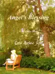 Angel's Blessing sinopsis y comentarios