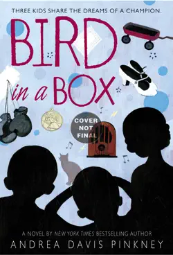 bird in a box imagen de la portada del libro