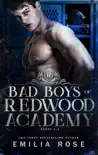Bad Boys of Redwood Academy synopsis, comments