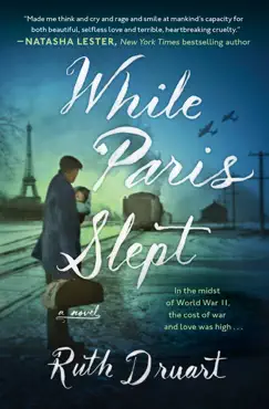 while paris slept book cover image