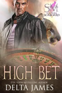 high bet book cover image